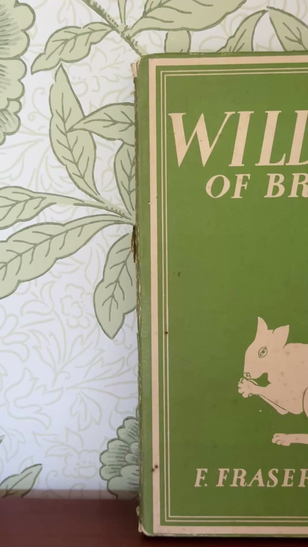 Front cover of 1943 Wild Life of Britain vintage illustrated wildlife book with original woodland squirrel dust jacket