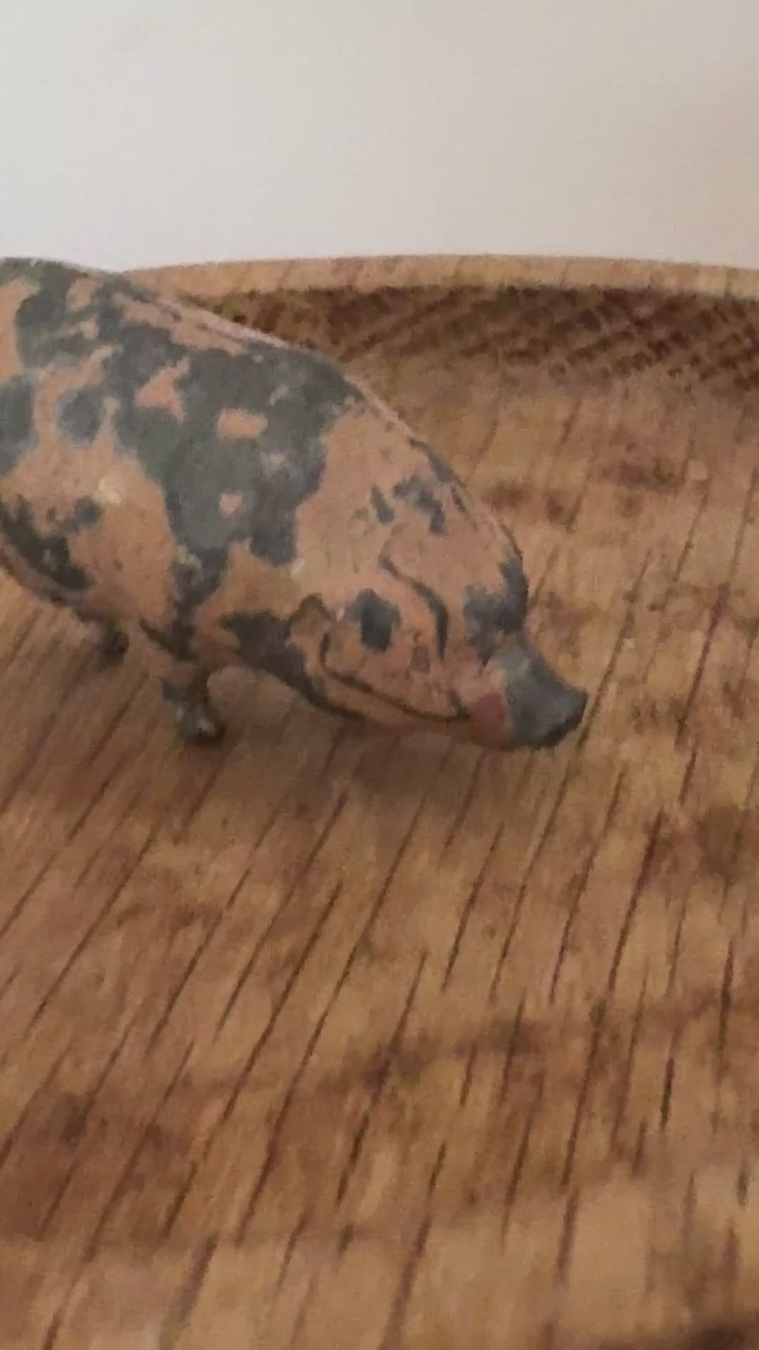 Medium Pink Patched Characterful Pig (Version 1) | Britains Ltd Vintage Lead Pig Figurine (1920s)