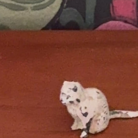 Gentle White Cat Vintage Britains Farm Animals | 1920s Hand-Painted Lead Miniature Collectable