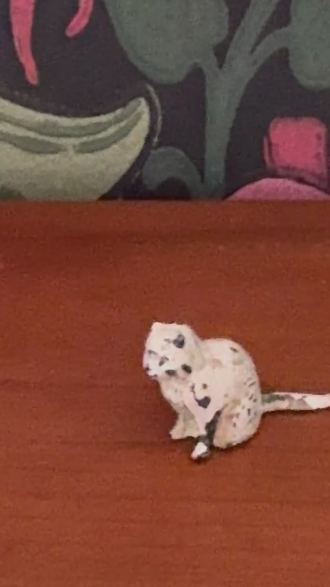 Gentle White Cat Vintage Britains Farm Animals | 1920s Hand-Painted Lead Miniature Collectable