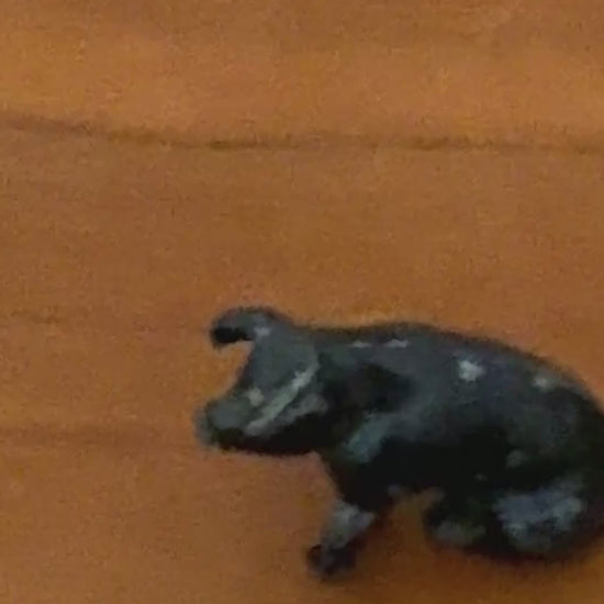 Black Miniature Sitting Piglet | Charming 1920s Britains Lead Farmyard Collectible