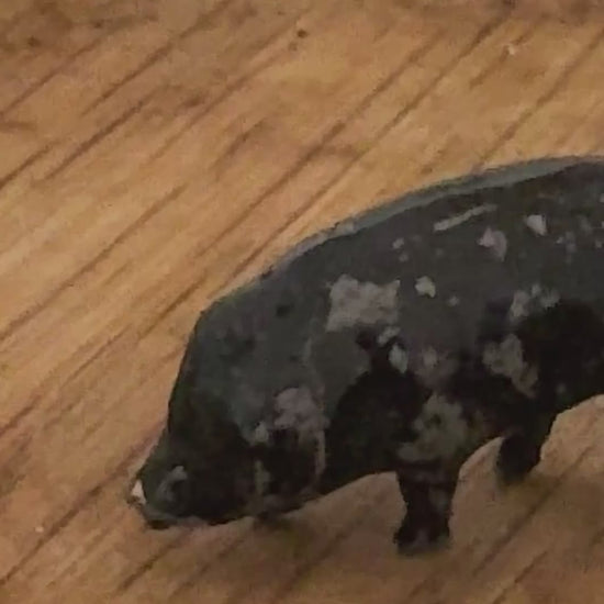 Miniature Black Standing Pig Collectable (Version 2) | Britains Ltd Vintage Lead Figurine (1920s)