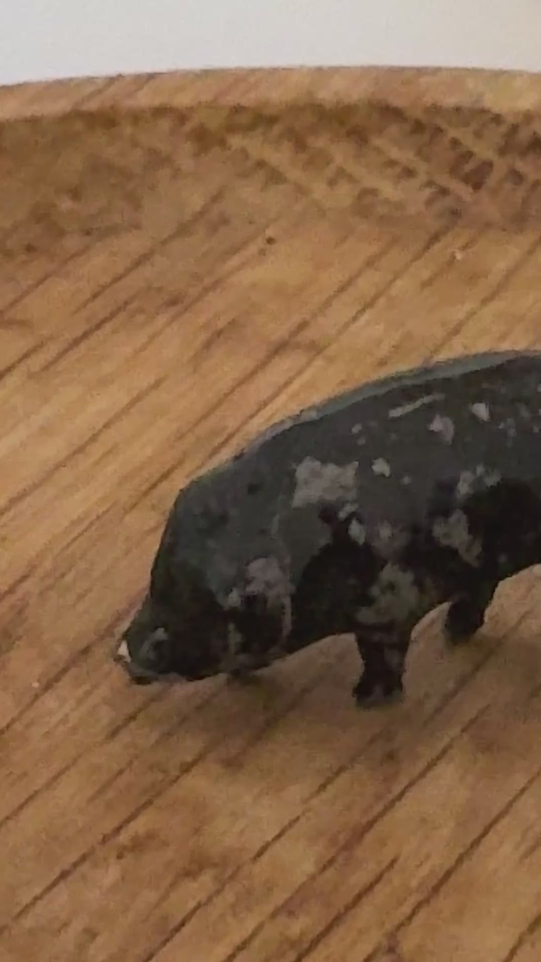 Miniature Black Standing Pig Collectable (Version 2) | Britains Ltd Vintage Lead Figurine (1920s)