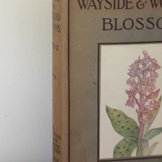 Video showing Wayside and Woodland Blossoms vintage British flower guide with olive hardback and floral detailing