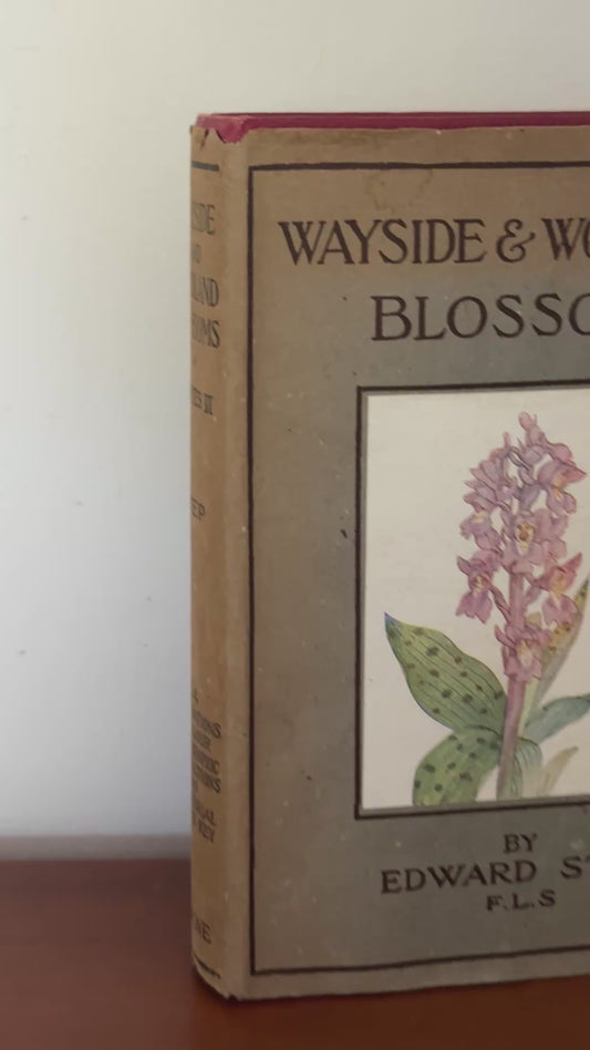 Wayside & Woodland Blossoms 1940s Vintage British Flower Guide