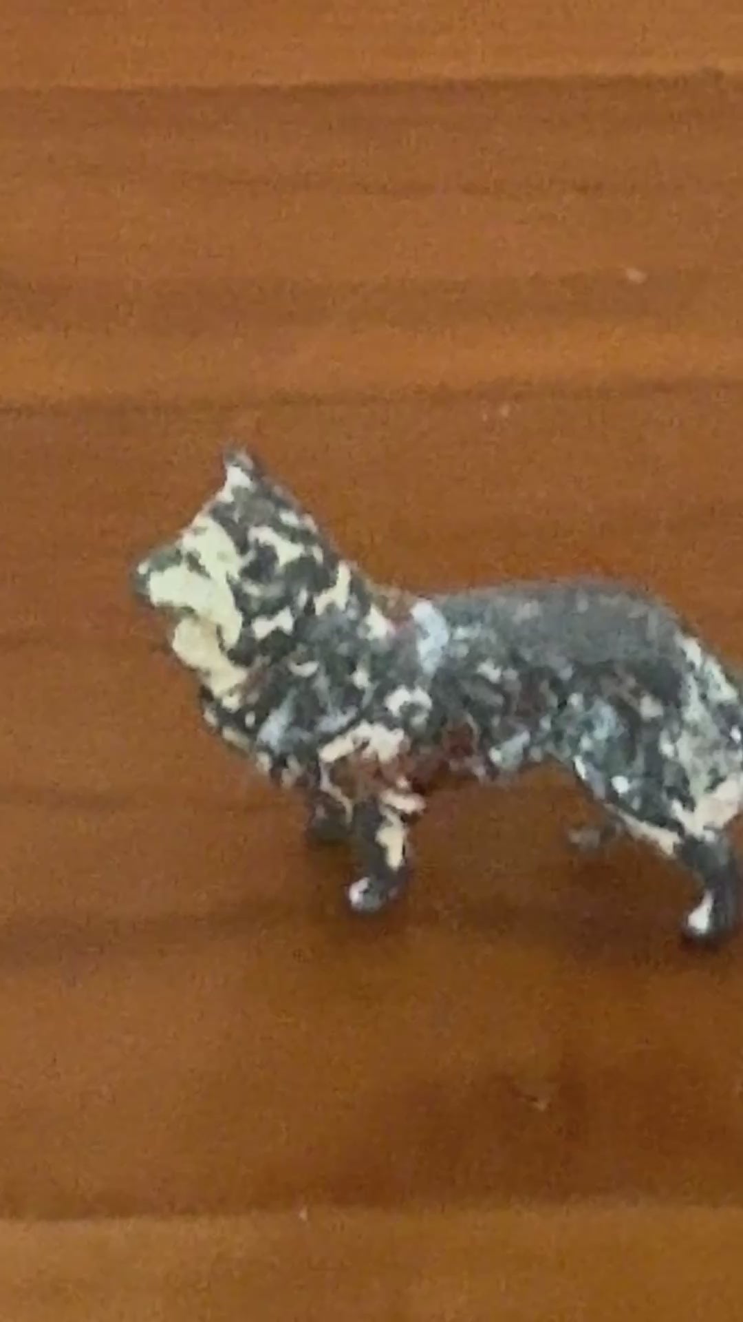 Miniature Tan and Cream Farm Dog | 1920s Britains Hand-Painted Lead Working Dog Collectable