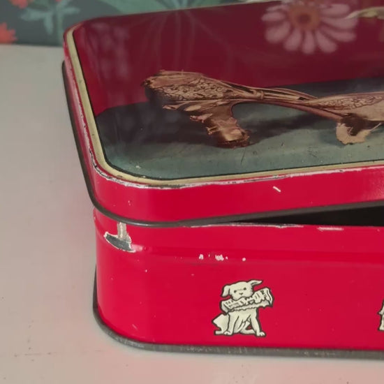 1950s Benson’s Cheeky Puppy Vintage Tin | Mid-Century Confectionery Advertising Prop and Collectable