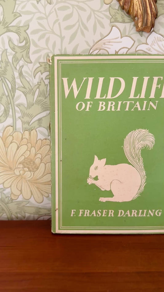Wild Life of Britain by F. Fraser Darling, 1943 Illustrated Book