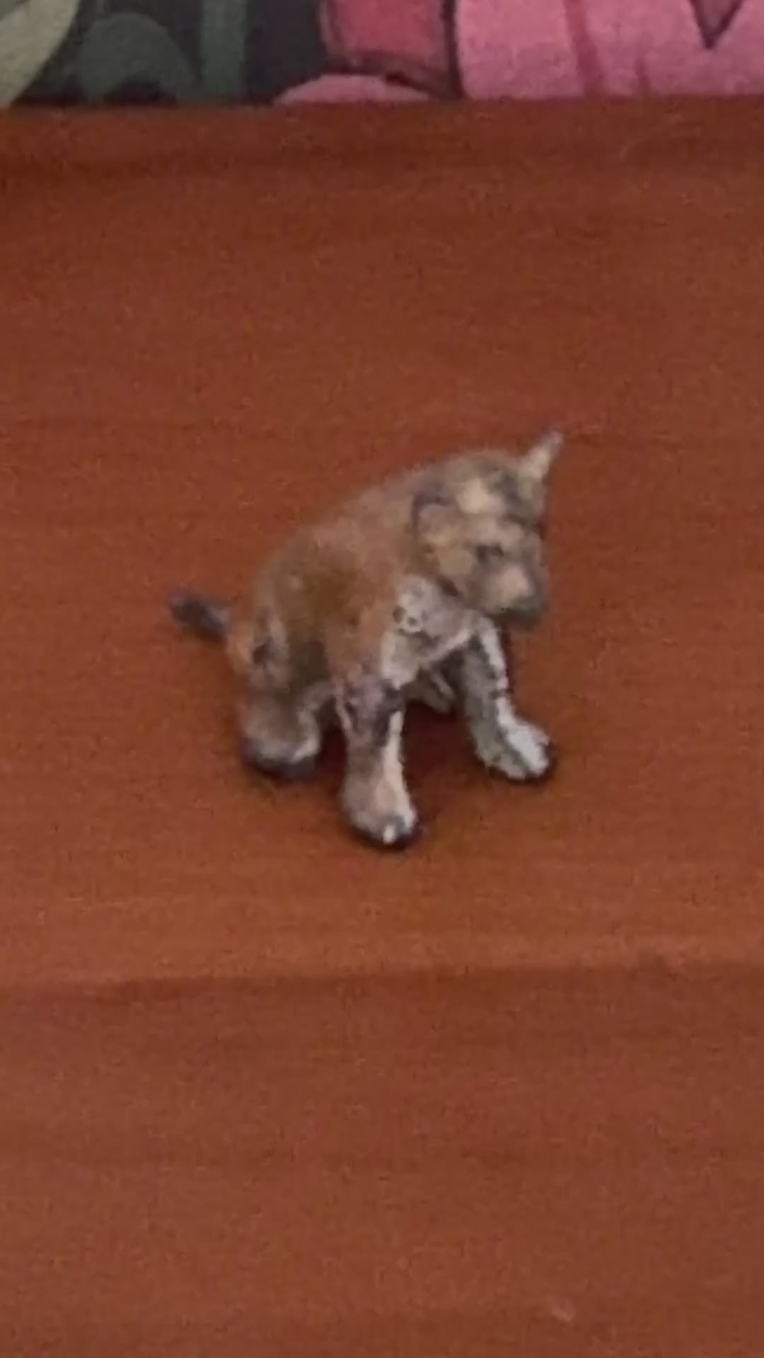 1940s Hand-Painted Lead Miniature Lion Cub Toy
