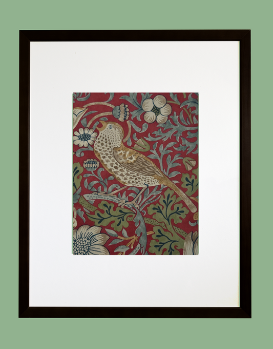 William Morris Framed Print Sourced from Morris & Co. Archive Wallpaper Sample Book - 'Strawberry Thief' (Crimson/Slate)